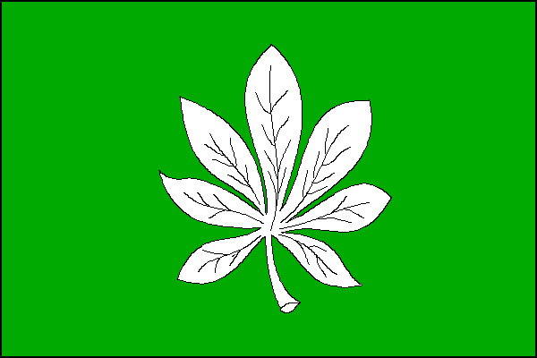 Zelený list s bílým vztyčeným sedmičetným listem jírovce maďalu. Poměr šířky k délce listu je 2:3.