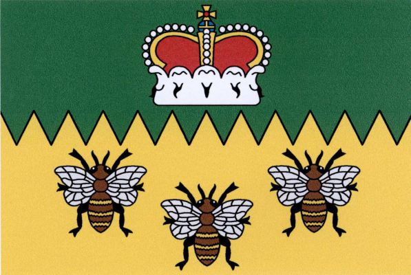 List tvoří dva vodorovné pruhy, v poměru 2 : 3, zelený a pilovitý žlutý s třinácti zuby, krajní poloviční. V zeleném pruhu knížecí koruna, ve žlutém tři (2, 1) včely. Poměr šířky k délce listu je 2 : 3.