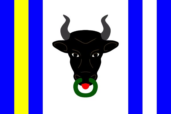 List tvoří sedm svislých pruhů, modrý, žlutý, modrý, bílý, modrý, bílý a modrý, v poměru 1 : 1 : 1 : 6 : 1 : 1 : 1. V prostředním pruhu černá zubří hlava se zelenou houžví a červeným jazykem. Poměr šířky k délce listu je 2 : 3.