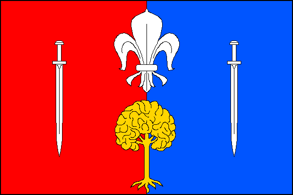 List tvoří dva svislé pruhy, červený a modrý. Uprostřed bílá lilie nad žlutým vykořeněným listnatým stromem, v žerďové a vlající části po jednom bílém meči hrotem dolů. Poměr šířky k délce listu je 2:3.
